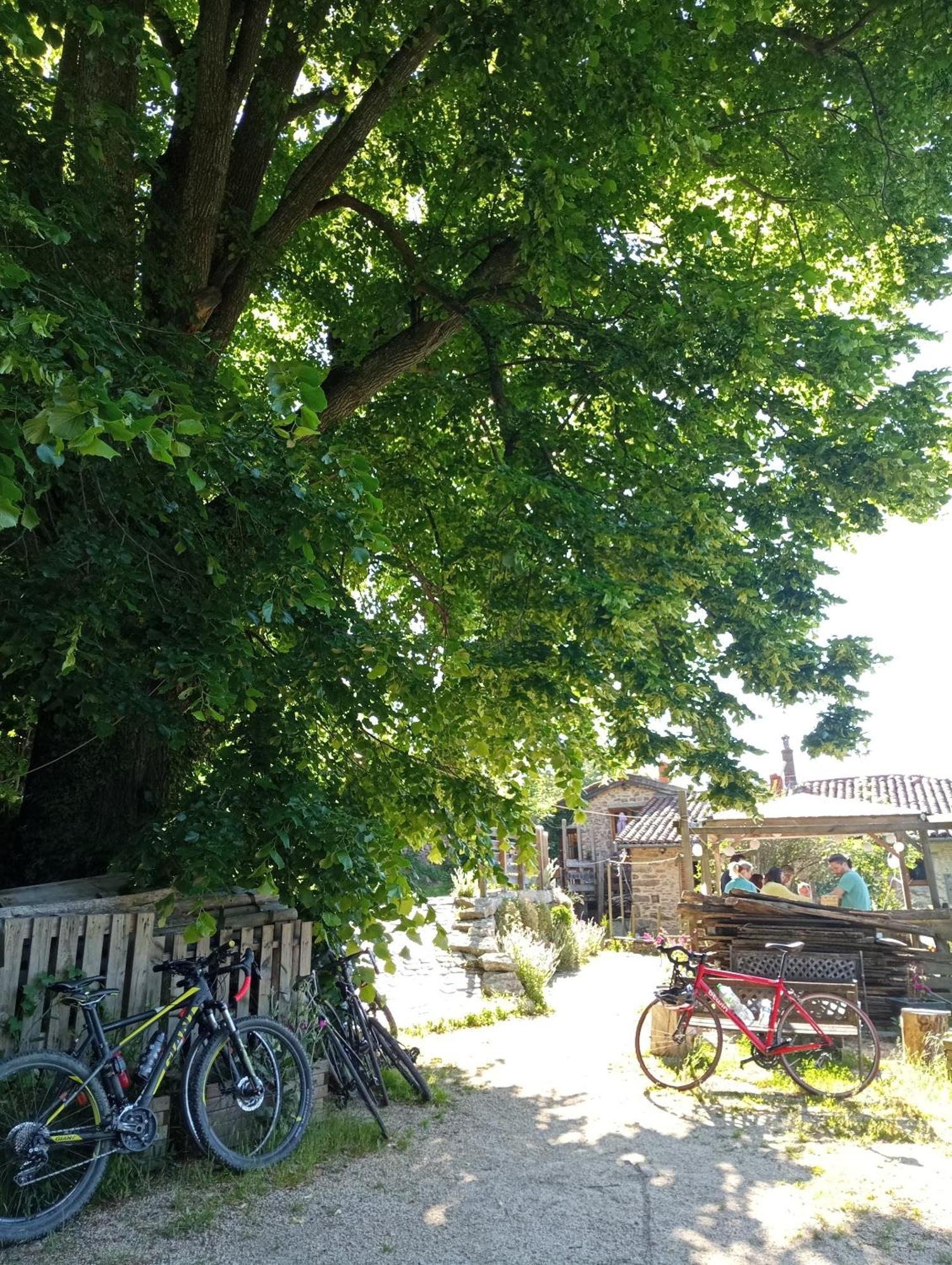 Gites Des Esselards Yzeron Buitenkant foto